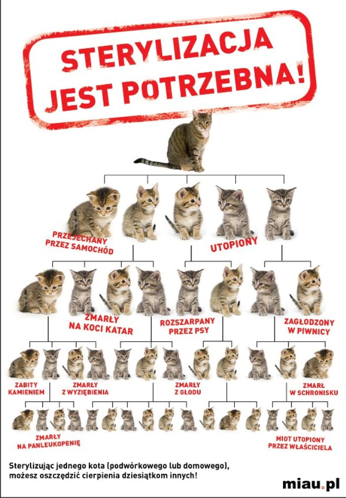 sterylka.koty