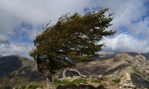 Uwaga - będzie wiało! Znowu...   Ostrzeżenie meteo