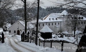 W krużgankach historii - leski zamek. Galeria zdjęć