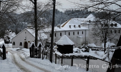 W krużgankach historii - leski zamek. Galeria zdjęć
