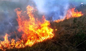 Strażacy gasili płonące pola - po raz kolejny...