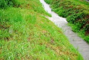 Śmierdzący problem