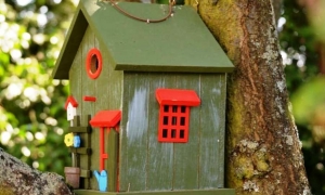 Ptasi "sąsiedzi"? Czemu nie! Konkurs na najładniejszą budkę dla ptak&oacute;w