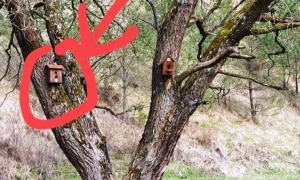 Si&oacute;dme - nie kradnij. Ptasiej budki też