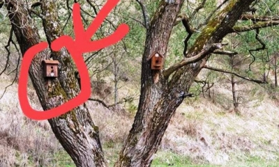 Si&oacute;dme - nie kradnij. Ptasiej budki też