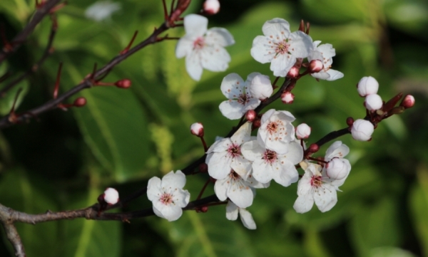 Oj, zimno... Prognoza na Wielkanoc