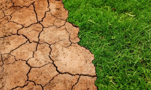 Dziś Światowy Dzień Ziemi. Każdy z nas może zadbać o środowisko naturalne