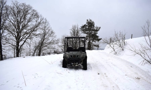 Zabrali quada, żeby pojeździć... Odpowiedzą przed sądem