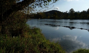 Sobotnia eskapada - dołącz do akcji!