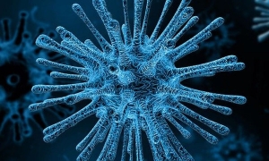 Są pierwsze przypadki koronawirusa na Podkarpaciu