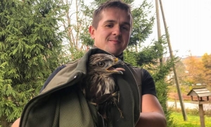 Młody myszoł&oacute;w uratowany!