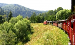 Bieszczadzka Kolejka Leśna ponownie zaprasza