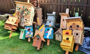 Wspaniałe budki już czekają na lokator&oacute;w...