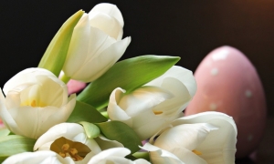 Świąteczny czas odrodzenia. Życzenia